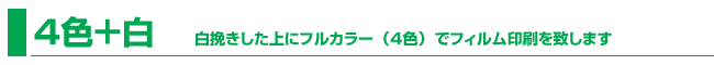 4色+白